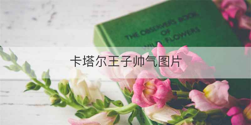 卡塔尔王子帅气图片