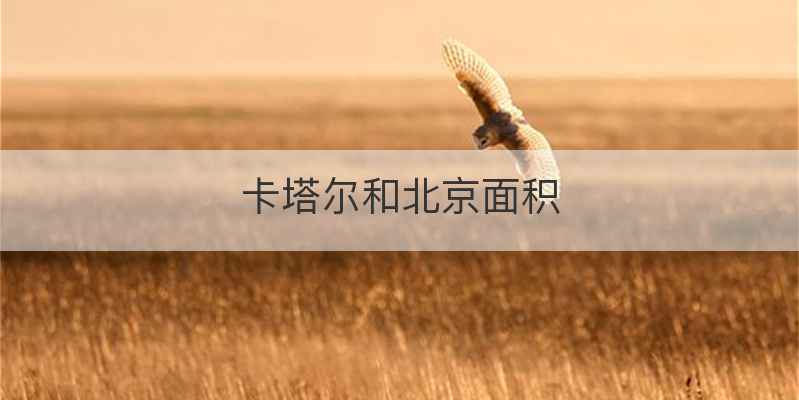 卡塔尔和北京面积