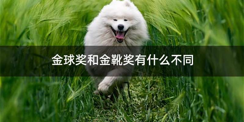 金球奖和金靴奖有什么不同