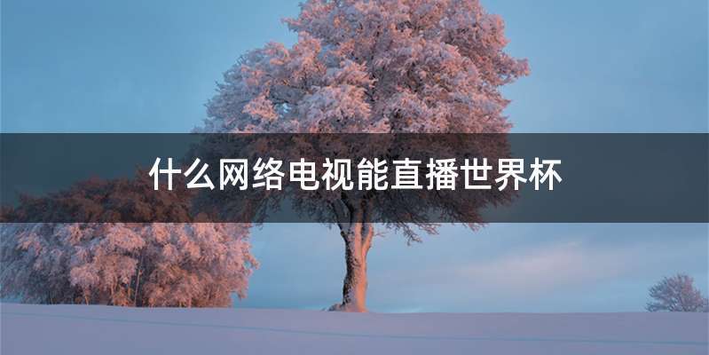 什么网络电视能直播世界杯