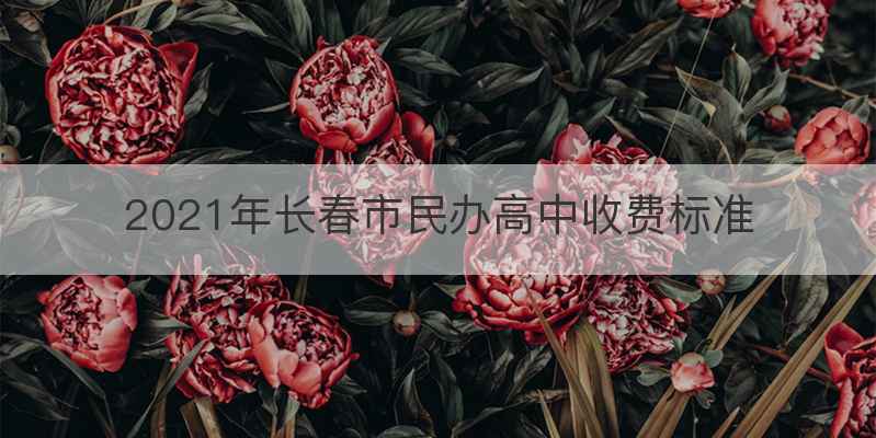 2021年长春市民办高中收费标准