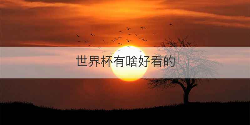 世界杯有啥好看的