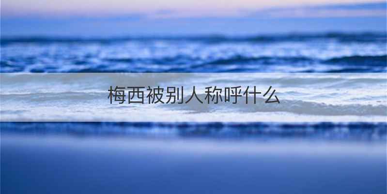 梅西被别人称呼什么