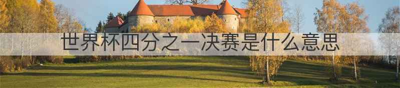 世界杯四分之一决赛是什么意思