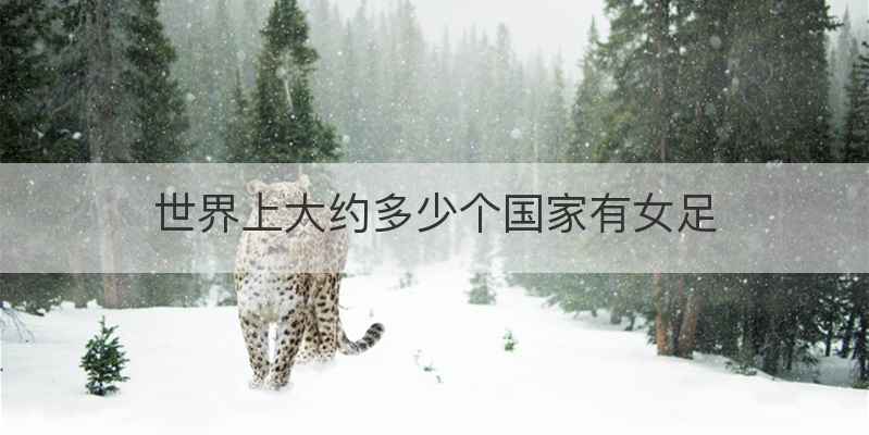 世界上大约多少个国家有女足