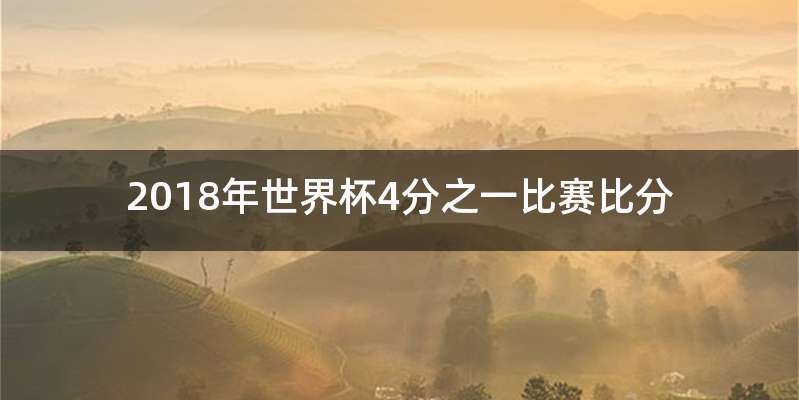 2018年世界杯4分之一比赛比分