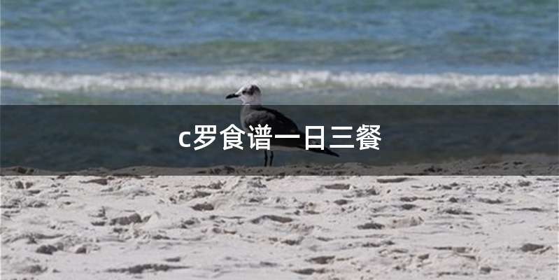 c罗食谱一日三餐