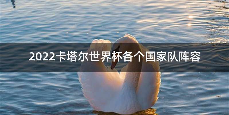 2022卡塔尔世界杯各个国家队阵容