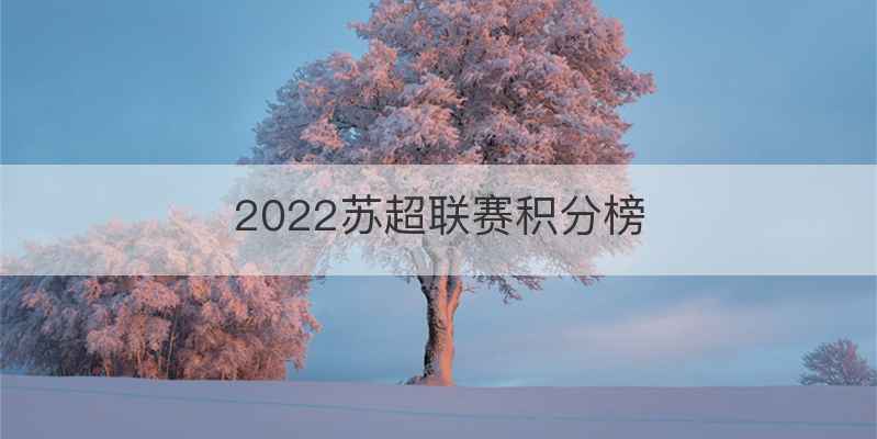 2022苏超联赛积分榜