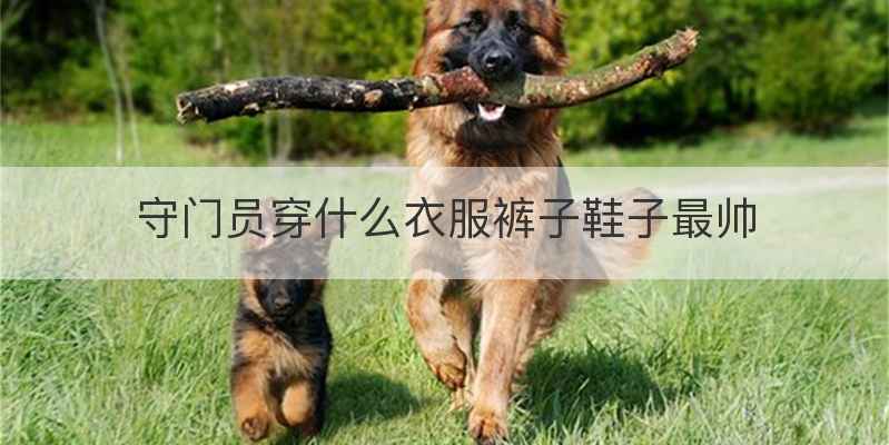 守门员穿什么衣服裤子鞋子最帅