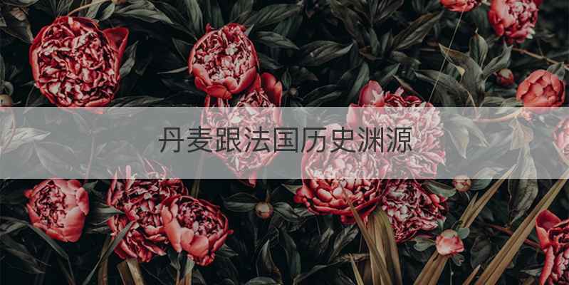 丹麦跟法国历史渊源