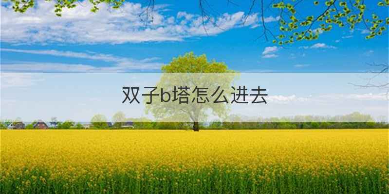 双子b塔怎么进去