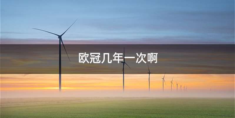 欧冠几年一次啊
