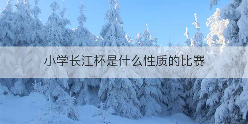 小学长江杯是什么性质的比赛