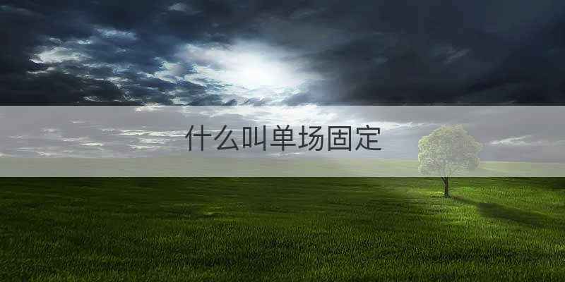 什么叫单场固定