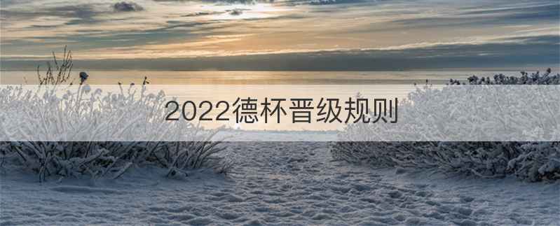 2022德杯晋级规则
