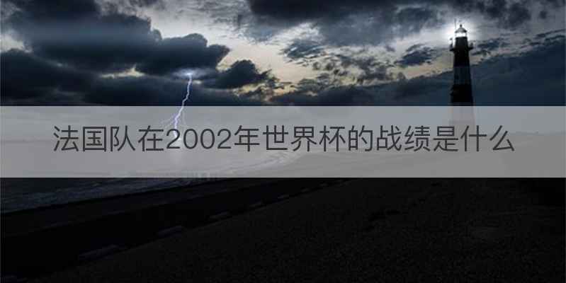 法国队在2002年世界杯的战绩是什么