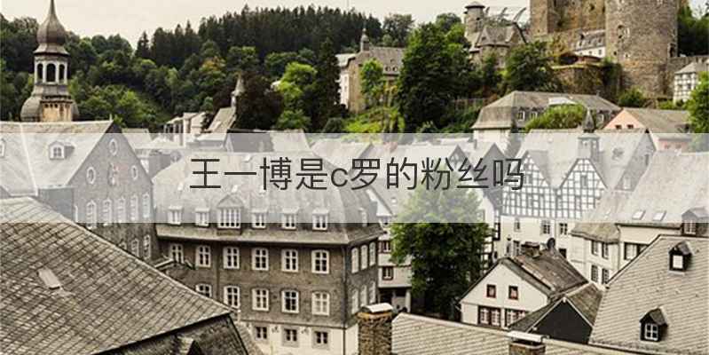 王一博是c罗的粉丝吗