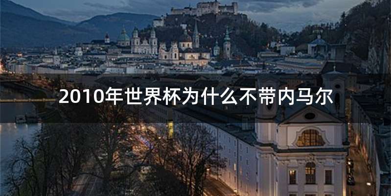 2010年世界杯为什么不带内马尔