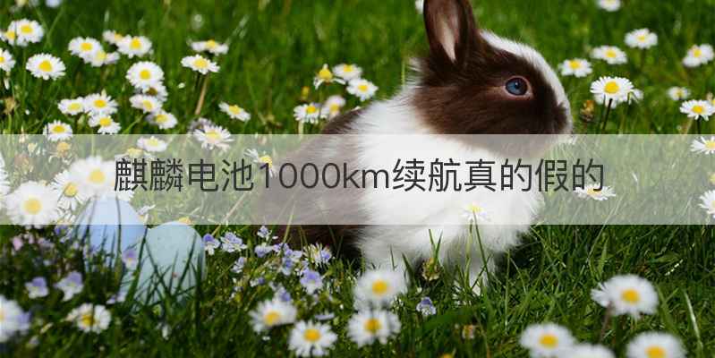 麒麟电池1000km续航真的假的