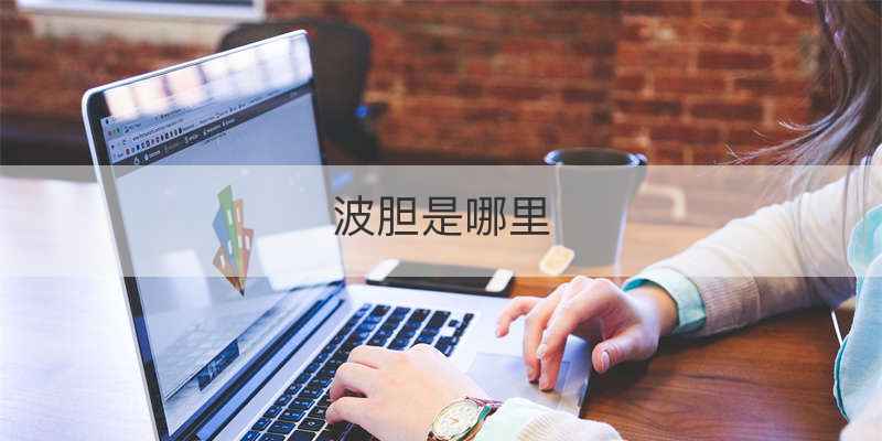波胆是哪里