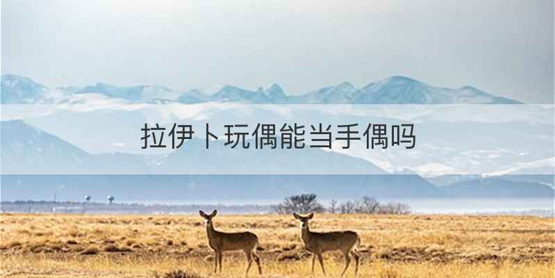 拉伊卜玩偶能当手偶吗