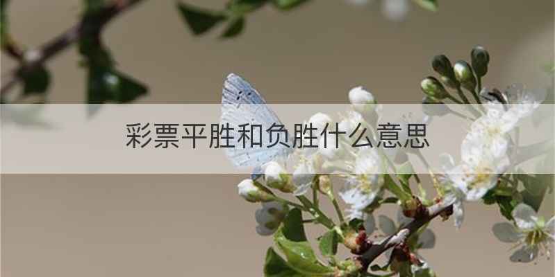 彩票平胜和负胜什么意思