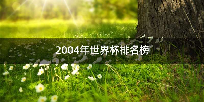 2004年世界杯排名榜