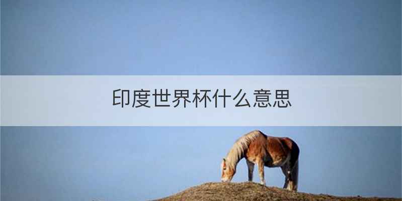 印度世界杯什么意思