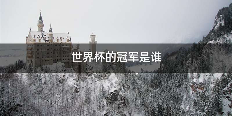 世界杯的冠军是谁