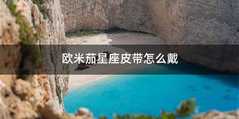 欧米茄星座皮带怎么戴