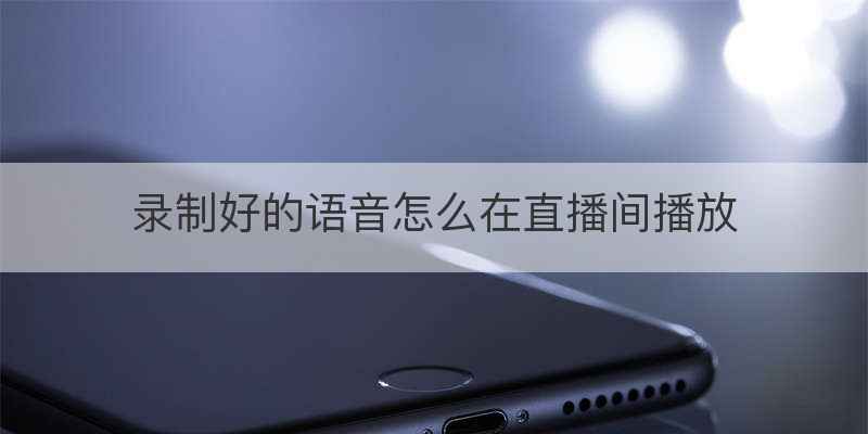 录制好的语音怎么在直播间播放
