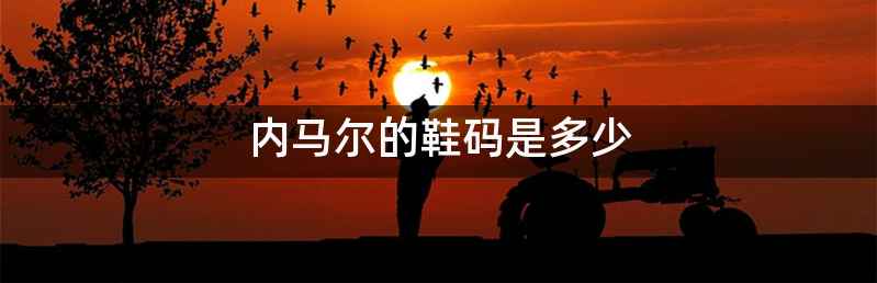 内马尔的鞋码是多少