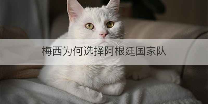 梅西为何选择阿根廷国家队