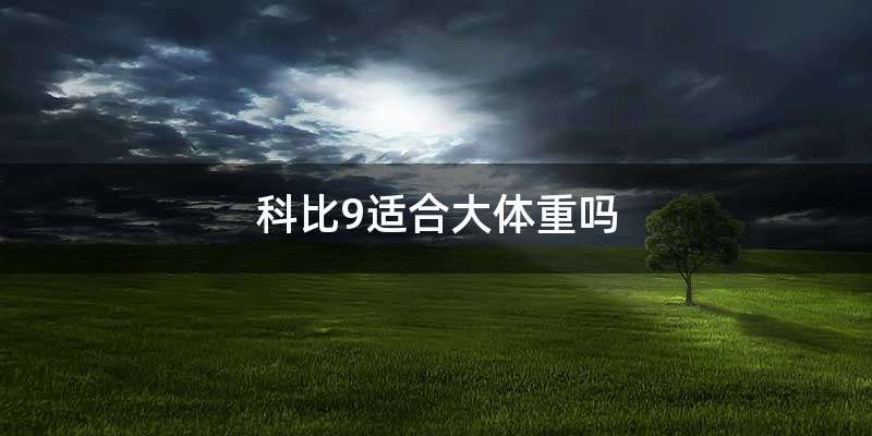 科比9适合大体重吗