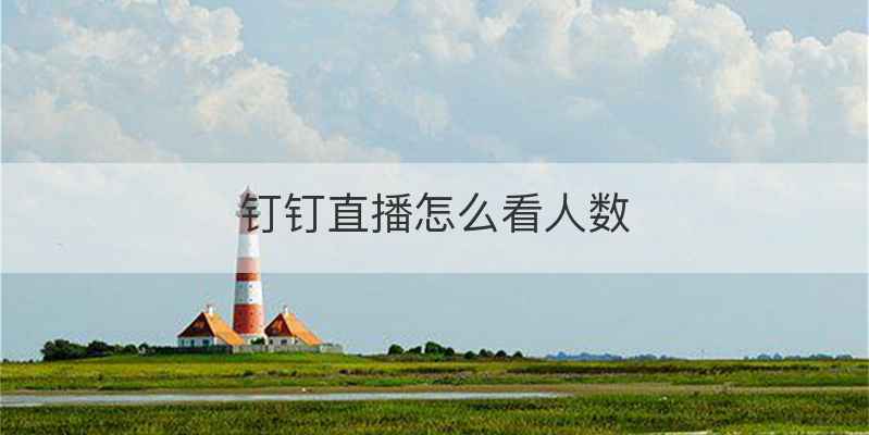 钉钉直播怎么看人数