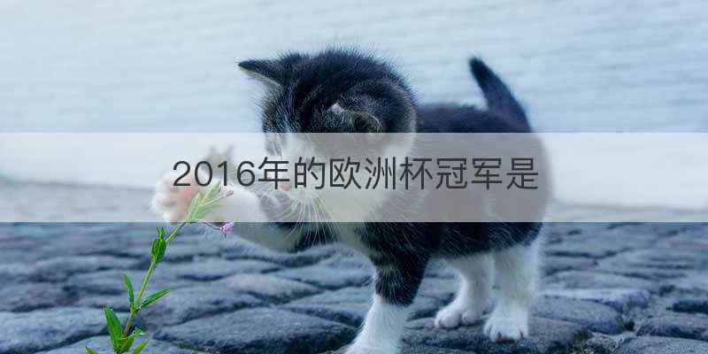 2002年世界杯小组赛比分