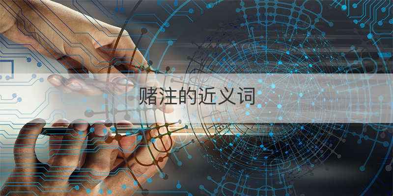 赌注的近义词