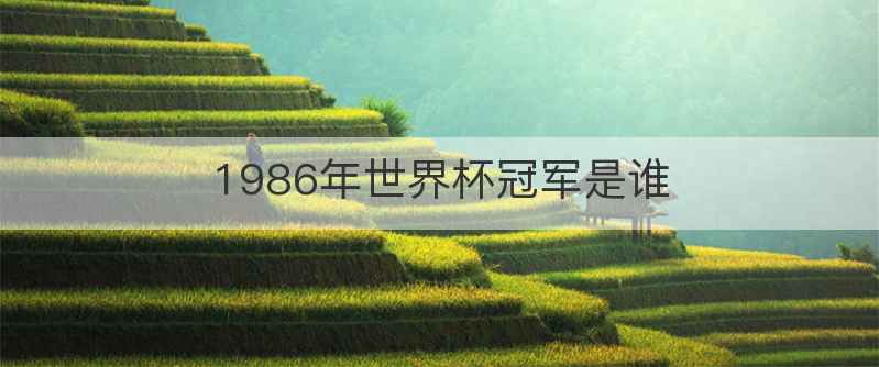 1986年世界杯冠军是谁