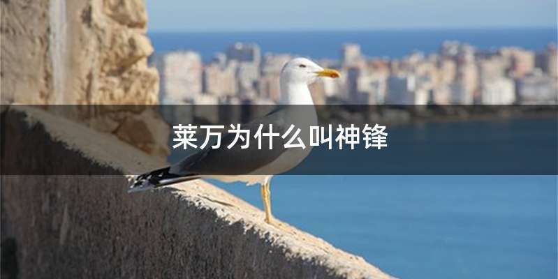 莱万为什么叫神锋