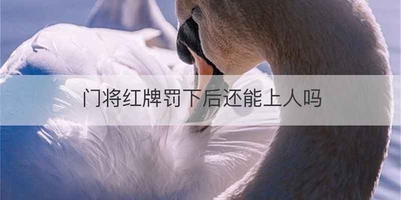 门将红牌罚下后还能上人吗