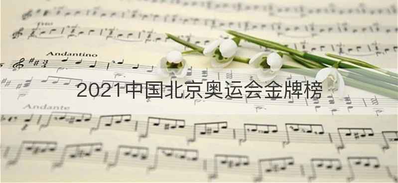 2021中国北京奥运会金牌榜