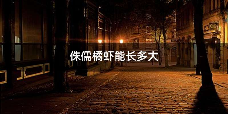 侏儒橘虾能长多大