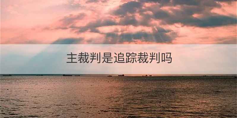 主裁判是追踪裁判吗