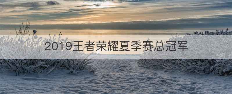 2019王者荣耀夏季赛总冠军