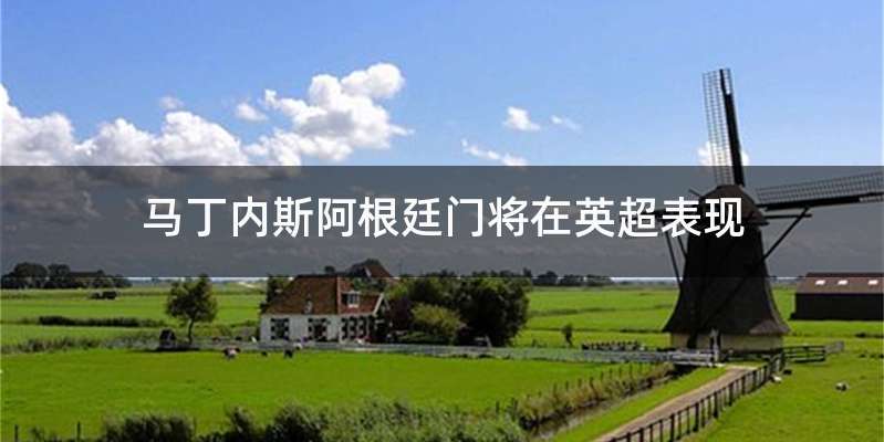 马丁内斯阿根廷门将在英超表现