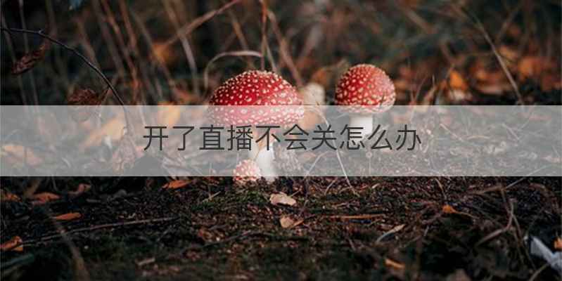 开了直播不会关怎么办