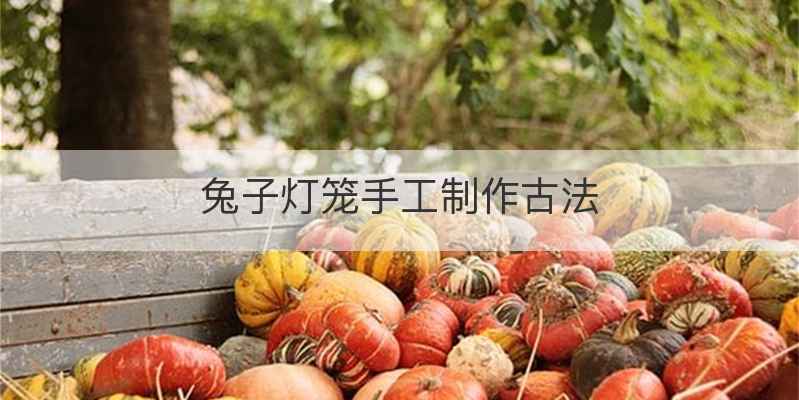 兔子灯笼手工制作古法