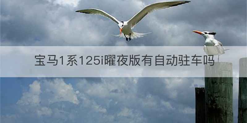 宝马1系125i曜夜版有自动驻车吗