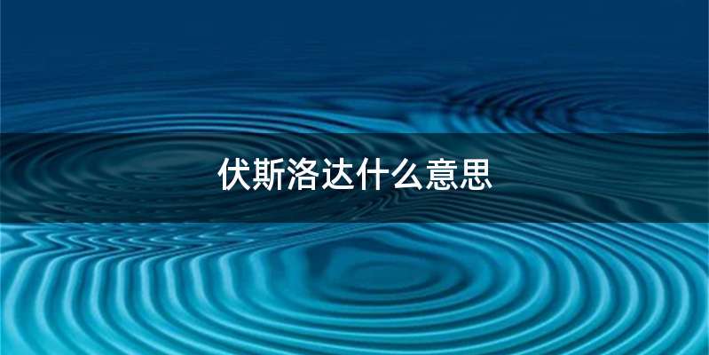 伏斯洛达什么意思